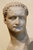 Domitian, 81-96